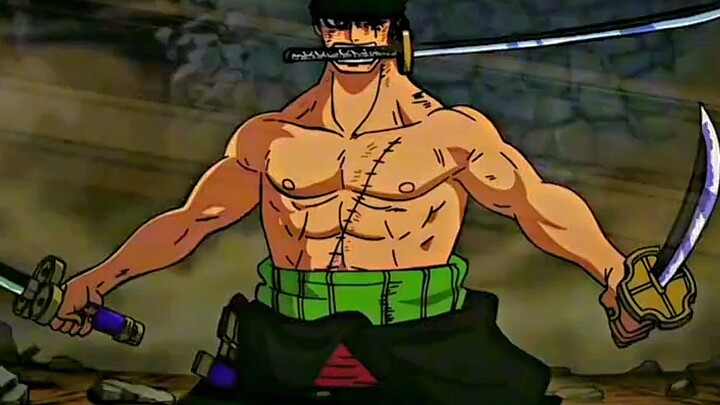 wings of the pirate king shesh🔥