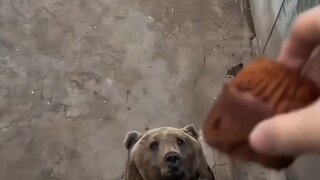 التغذية