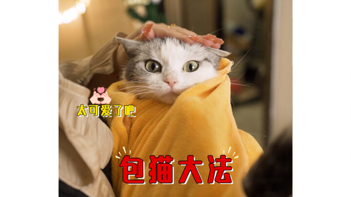 วิธีจับแมวสุดเจ๋งที่ใช้ง่ายเวอร์ แมวเห็นแล้วถึงกับร้องว่า “เจ๋งมาก!”