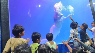 Mermaid in fish tank