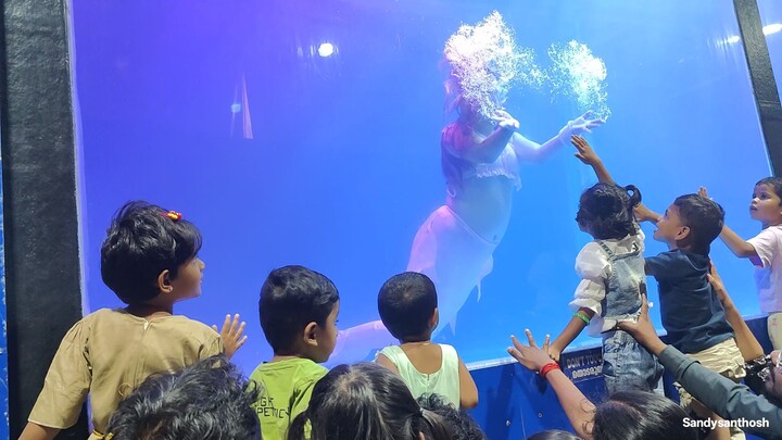 Mermaid in fish tank