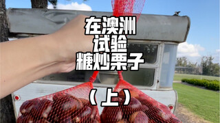I traveled 400 kilometers to find sand for roasting chestnuts in Australia.