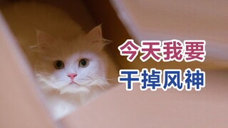 谁也不能阻止，我们的下一次相遇
