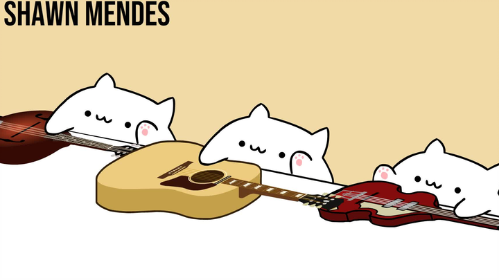 Señorita (Meow Version)