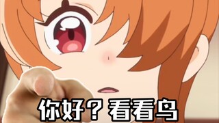 ［天空光美］对于小翼的一些发病和发病（