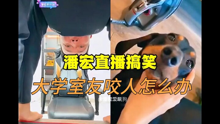 【Pang Hong Live】Anjing yang melindungi makanan boleh dikirimkan, lalu bagaimana dengan manusia yang 