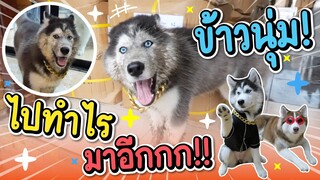 ข้าวนุ่มม!! เอาอีกแล้วถ่ายรูปได้แปปเดียวเผลอไม่ได้เลย - ข้าวนึ่ง & เดอะแก๊ง