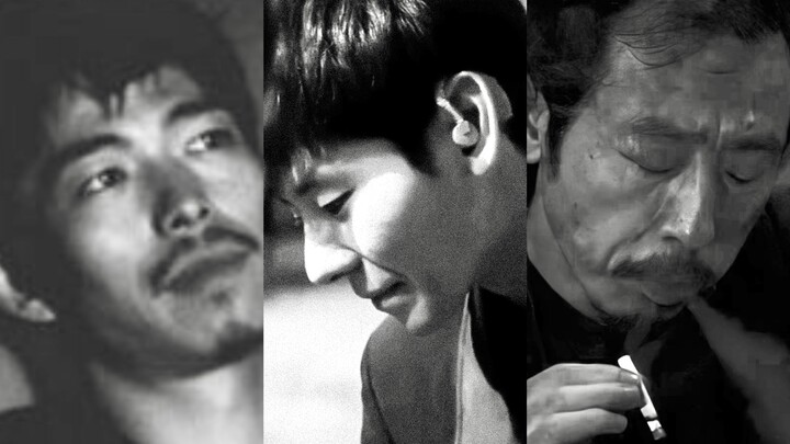 “Big data đoán bạn thích: Chó quê điên loạn ở vùng ven thành phố”