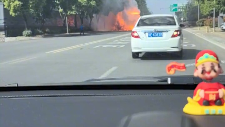 That black car is really brave!