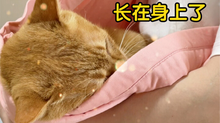 ทำยังไงดี? ฉันชอบเธอจนอยากเกาะติดอยู่กับเธอไปเลย