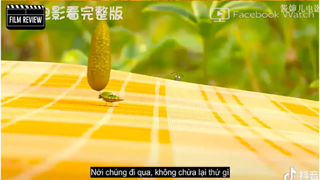 Tóm tắt phim Thung lũng kiến -  p1