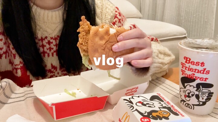VLOG 40: A Fulfilling Late November / Cooking Spicy Hot Pot Dishes / Salary Day with Intense Shoppin