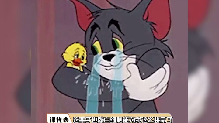 Bạch cầu săn lùng virus như thế nào