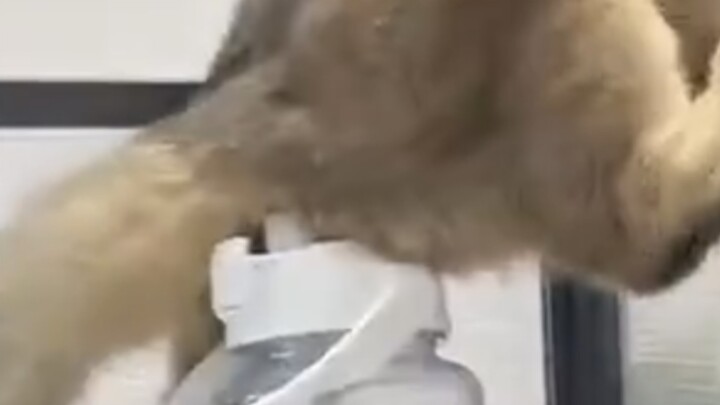 Mom Gets Beaten Series