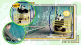 Panda's Having The Best Life Ever!