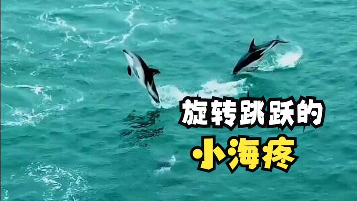 Xiao Hai Pain can even do somersaults!