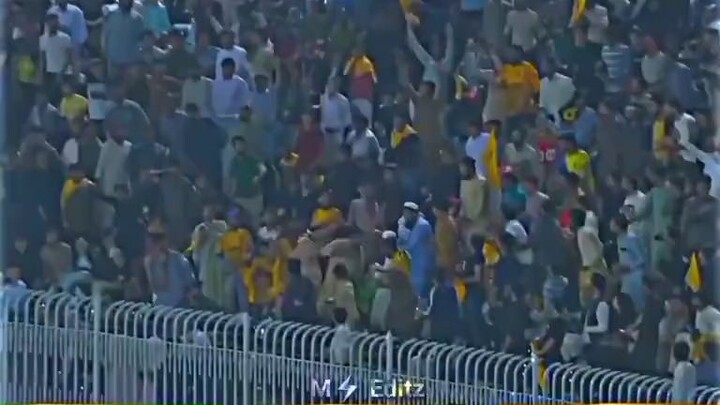 Funny commentary 🤣🤣🤣 #psl #cricket #pcb