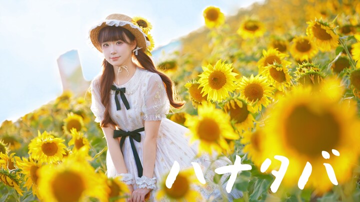 “ขอบคุณสองหมื่นฟอลโลเวอร์” 🌸ฮานะทับบะ / ช่อดอกไม้🌸【จิชิมะ】