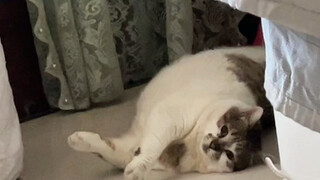 อดทนอีกนิด พรุ่งนี้ก็ถึงแล้ว