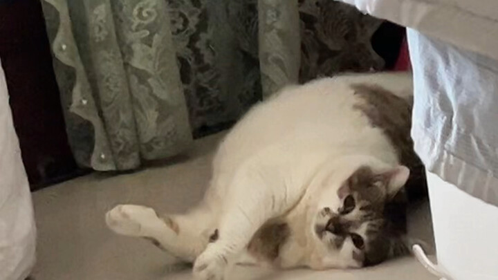 Hang in there a bit longer; tomorrow will be here soon.