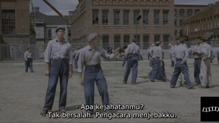 The Shawshank Redemption (1994) Sub indo Full Movie: PART 23