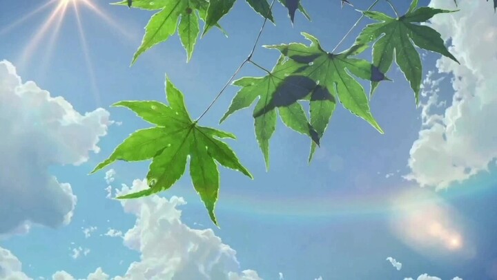 Anime|Makoto Shinkai Animation with "Kikujiro No Natsu"