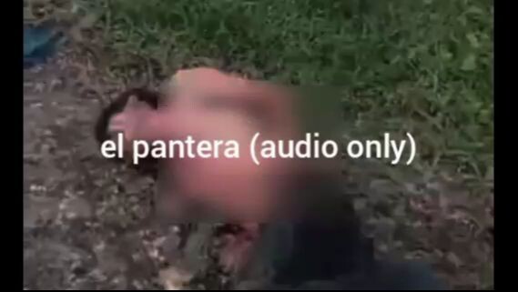 el pantera video (audio only)