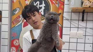 I haven't bathed my British Shorthair blue cat for three years