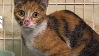 Tòa nhà số 3, câu chuyện thế nào?
