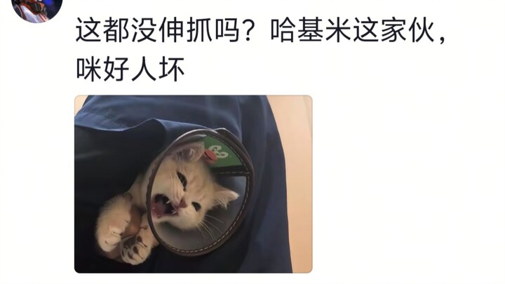 “ขอร้องล่ะ ปล่อยฉันไปเถอะ” “แม้จะเป็นผี หมี่ก็จะไม่ยอมให้อภัยแก่เจ้าเด็ดขาด!”