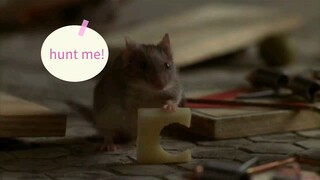 Watch Mousehunt - Comedy, Fantasy