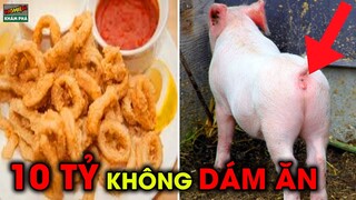 🔴8 Món Ăn Được Làm Giả Tinh Vi Đáng Sợ Nhất Mà Bạn Từng Được Ăn Mỗi Ngày | NKP