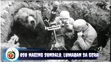 Oso na naging Sundalo at Lumaban sa Gera | Story of Wojtek the Bear Soldier | Tenrou21