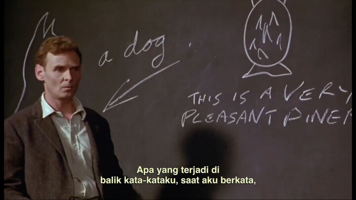 Wittgenstein 1993 - 1