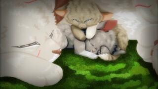 Warrior Cats -What once was mine PMV (effect test)