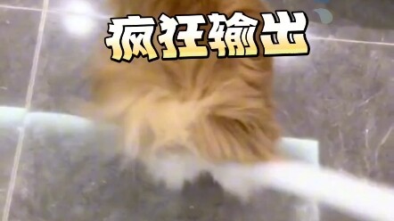 Thế giới này là một tình yêu to lớn