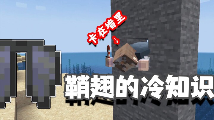 Kiến thức lạ về Minecraft: Thật ra cánh giáp còn có thể bay lượn dưới nước nữa, bạn đã biết những đi