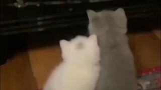 ฉันอยากอยู่กับคุณตลอดไป