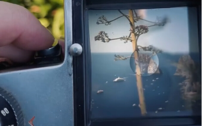 ม้วนฟิล์มหมดอายุ 120｜ถ่ายด้วยฟิล์มหมดอายุแล้วจะออกมาเป็นยังไง?