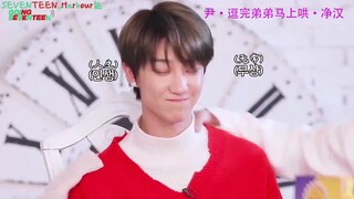 【Thú cưng tập thể】Những cảnh nổi tiếng của thú cưng tập thể Tiểu Ba