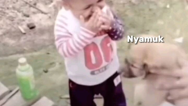 aku kene gigit open nyamuk