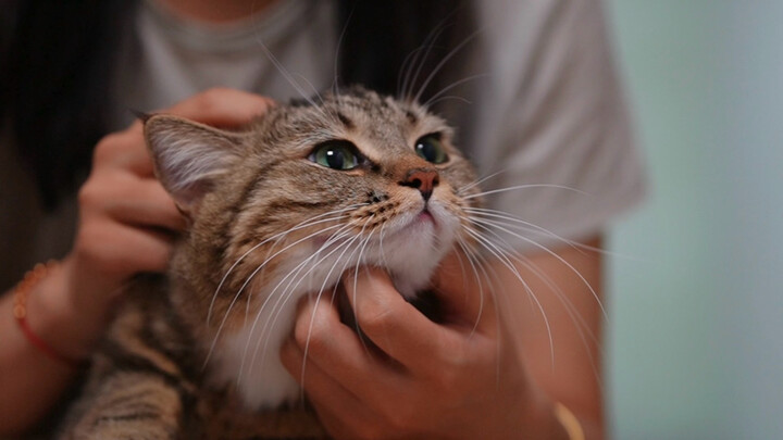 تعالَ سريعًا وانظر إلى دراجتي النارية الصغيرة