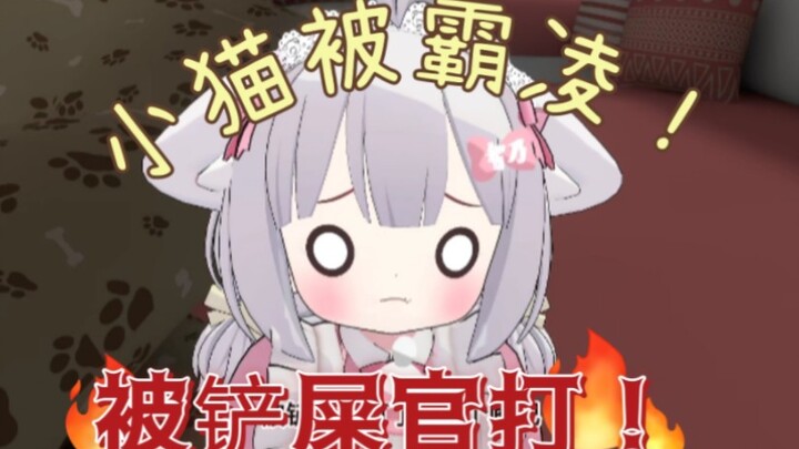 小猫被打800个嘴巴！