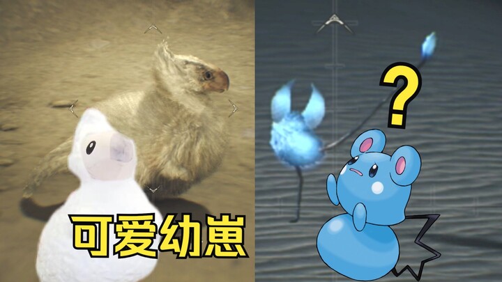 [Monster Hunter Wilds] The cutest creature in the beta! Young Pukei-Pukei and environmental creature