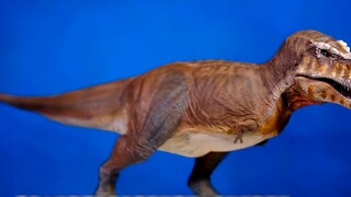 Thiết bị ngoại vi mới cho "Hành tinh thời tiền sử"? Đánh giá mở hộp mô hình Tyrannosaurus của Rebor 