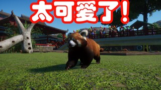 好多小熊猫哇！！！！#11