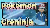 [Pokémon] Greninja: Vượt trên mọi kết nối để tiến hóa! Vượt đỉnh mà không ai đạt đến!