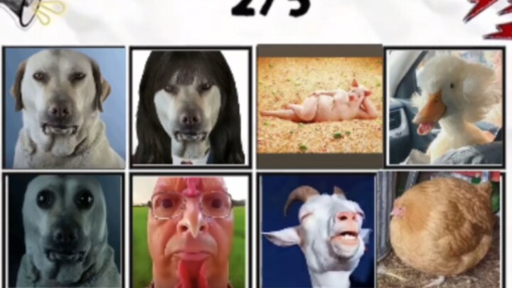 Who can even recognize this?