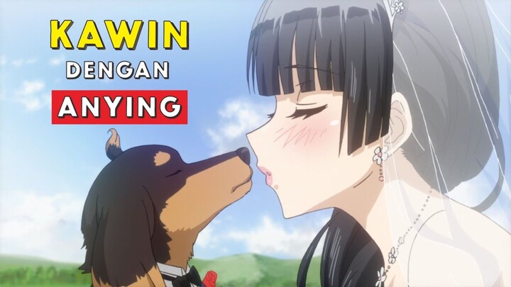 PARAH CEWEK INI MENIKAHI ANYING 🤤🥵