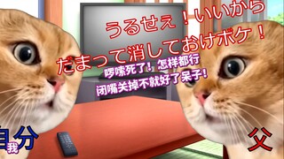 [Hot Clip] The aftermath of being suddenly yelled at by an angry dad | Cat meme